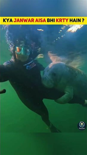 Weirdest Sea Creatures #ytshorts #facts #shorts