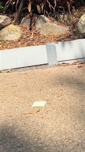 👀Look left… it’s Kenilworth Library! 📚Pop in, explore, borrow some books and grab some donuts next door😋 | Sunshine Coast Libraries