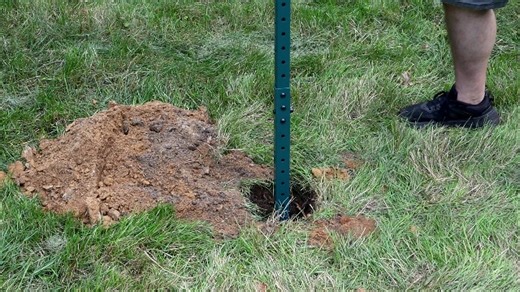 Watch Pet Waste Station on Amazon Live