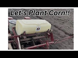 Planting Corn 2025: Allis Chalmers 180 & International 56 Planter