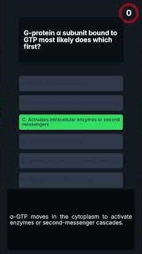 USMLE-1 Synaptic Transmission Mechanisms Quiz