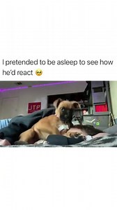 Too cute | I hate study, but love student life | Facebook