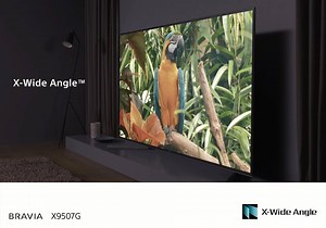 222K views · 943 reactions | Enjoy the world’s vibrant shades and hues, from any viewing angle. Find out more: https://smarturl.it/sony-x95g-series. * Available on 75” and 85” | Sony Philippines | Facebook