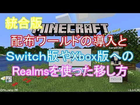 マインクラフトBE 配布ワールドの導入からSwitch版等へ移すまで ざっくり解説
