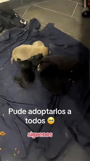 #comida #adoptme #fyp #viral #tiktok