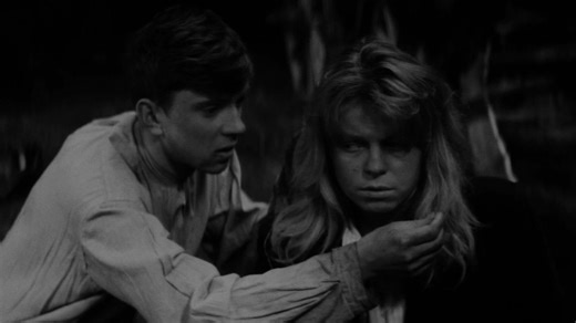 维也纳快车 Kočár do Vídně (1966)