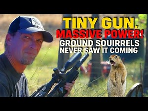 INSANE Mini Airgun DESTROYS Ground Squirrels! (Ultimate Pest Control)