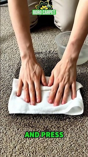 DIY MAGIC Removes Ground Dirt From Carpet Easily