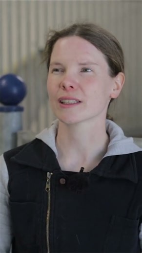 Ausrangiertes Rennpferd 8 x Verkauft - Therapeutin rettet den Schimmel #pferde #reiten