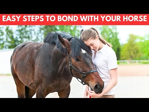 How to Bond With Your Horse (7 Easy Steps)