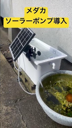 Introducing a solar pump to the medaka biotope #Tetra Solar Lift Pump
