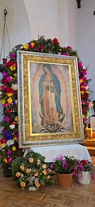 Día de la Virgen de Guadalupe: Una Celebración de Fe y Tradición en México. Hoy, 12 de diciembre, se celebra el Día de la Virgen de Guadalupe, una de las festividades religiosas más importantes en México. En todo el país, millones de fieles se reúnen para rendir homenaje a la patrona de América Latina, la Virgen María en su advocación de Guadalupe. La Virgen de Guadalupe es más que una figura religiosa; es un símbolo de unidad y esperanza para millones de mexicanos. En Chihuahua, la Sierra Tarah