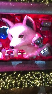 60K views · 1K reactions | Live from New York ✨ Thursday, November 15th, 2018 The new holiday window display at Macy’s ☃️ | New York Mickey | Facebook