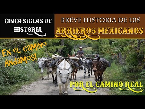 BRIEF HISTORY OF THE MEXICAN MULETEERS