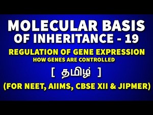 Regulation of Gene Expression in Tamil - Molecular Basis of Inheritance in Tamil (19) -Rajus Biology