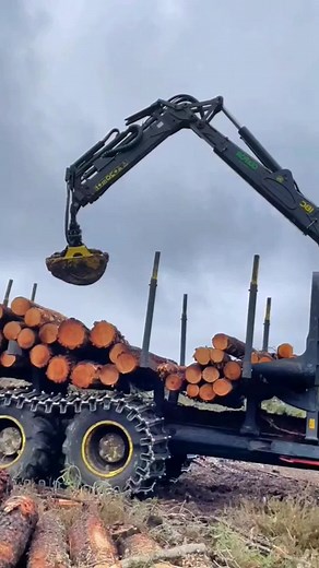 Logging Machine in Action: Industrial Forestry Equipment