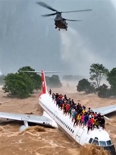Helicopter Rescue of Passengers from Water-Surrounded Plane