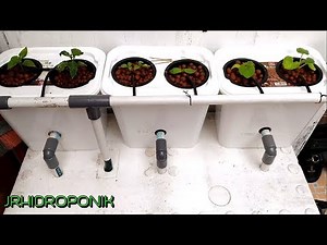 【#JRHIDROPONIK】Tutorial Membuat Sistem Dutch Bucket Hidroponik Dengan Bak Nutrisi Styrofoam Box