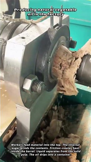 Producing natural vegetable oil in the factory