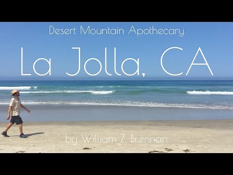 Visit La Jolla, CA – Black’s Beach & La Jolla Shores – San Diego Beach Adventure Tour
