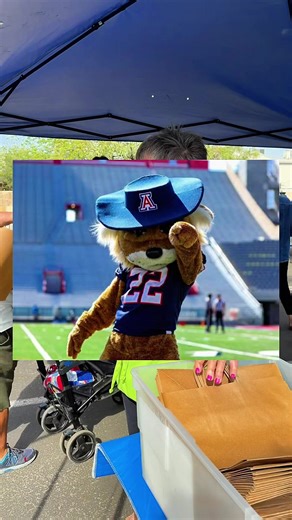University of Arizona Wildcats Spirit