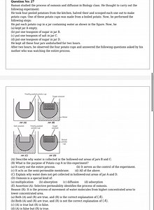 Experiment on Osmosis and Diffusion Using Potato CupsRaman pe... | Filo