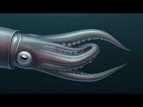 I Found Something in the Ocean… And It Was Alive