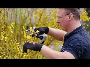 STIHL Check Akku Astschere ASA 20