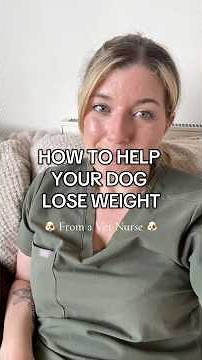 How to help your dog lose weight - VET NURSE ADVICE 🐾🩺 #dogowner #vetnurseadvice #dogdiet