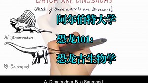 阿尔伯特大学《恐龙101：恐龙古生物学|Dino 101: Dinosaur Paleobiology》中英字幕
