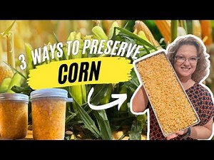 Mastering Simple Garden Corn Preservation Techniques