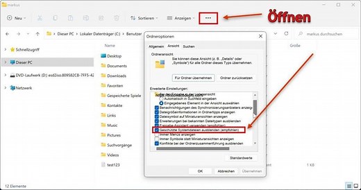 Systemdateien in Windows 11 anzeigen - so geht es!