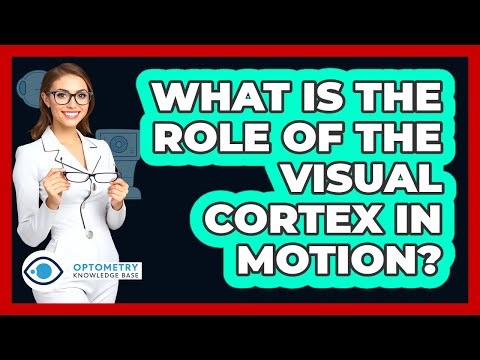 What Is The Role Of The Visual Cortex In Motion?