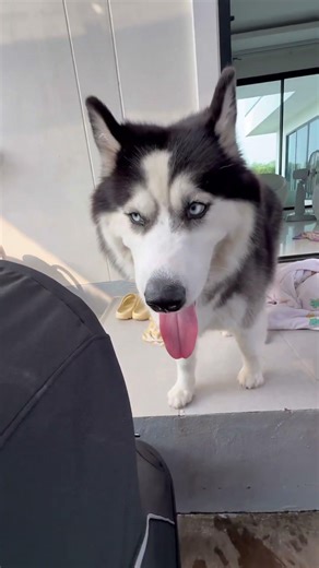 You shout, I'll release you at the temple.