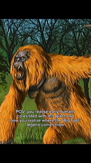 The Very Extra Ordinary on Instagram: "Gigantopithecus is an extinct genus of ape that lived in southern China from 2 million to approximately 300,000 to 200,000 years ago during the Early to Middle Pleistocene, represented by one species, Gigantopithecus blacki. It lived with the early humans, could this be where the famous ‘Big Foot’ cryptid comes from? Follow my page for daily old earth prehistoric horror videos! #prehistoric #oldearth #extinct #scary #horror #prehistoricanimals #gigantopithe