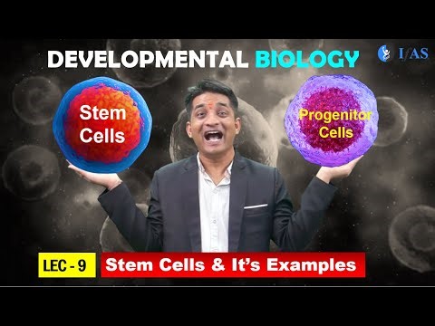 CSIR NET JUNE 2025 I Developmental Biology I Lecture 8 I Stem Cells & stem cells Examples I IFAS
