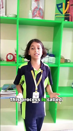 Why Does Iron Rust? | Fun Science Experiment for Kids | PVIS