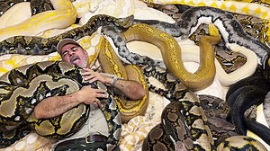 GIANT PYTHON BIT ME IN THE BUTT?