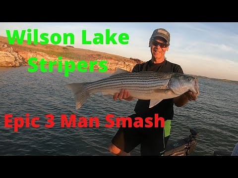 Wilson Lake Epic Striper 3 Man Smash With All American Fishing Tours Kansas Fishing