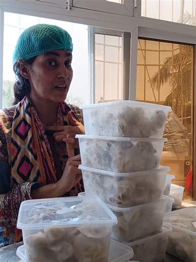 B2B Momos Business: Bulk Orders & Factory Production