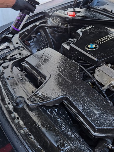 Ultimate Engine Bay Cleaning with No Touch Cleaner
