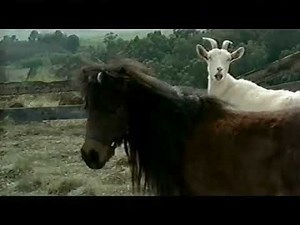 Racing Stripes (2004) - TV Spot 2