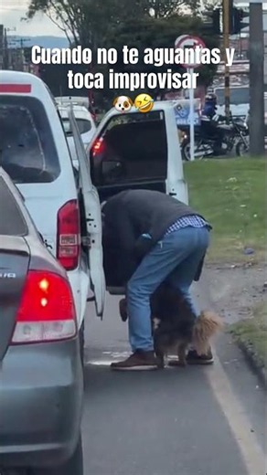 Cuando no te aguantas y toca improvisar 🐶🤣 #viralvideo #funny #perros #dog