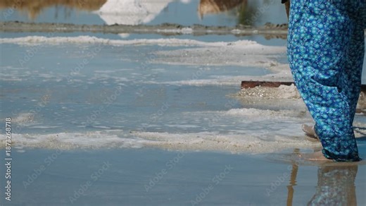 Woman salt worker in kampot, cambodia, harvesting salt from evaporation ponds in a traditional method.