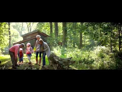 HD Movie The Forest 2016 Official Trailer