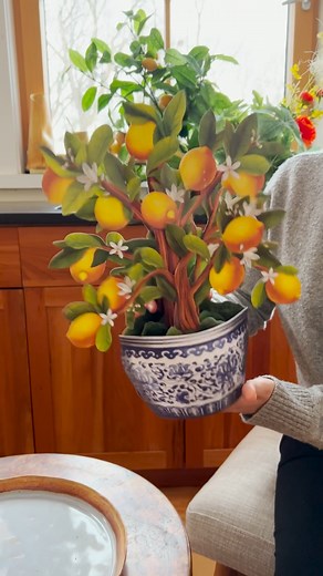 Freshcut Paper - Learn all about our newest product The...