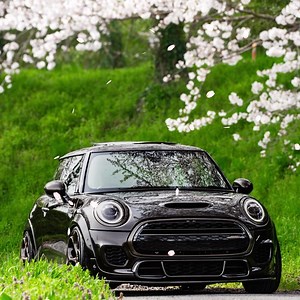 622K views · 7.2K reactions | Time to get swept up in spring adventures. Where will your MINI be taking you this season? @shingo5500gram #MINI #MINIInMotion | MINI | Facebook