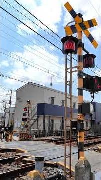 【珍踏切】低すぎる‼️日本一低い警報灯🚨高速警報音⚡️京成本線踏切#踏切 #京成本線 #スカイライナー #警報音 #日本一低い #鉄道 #電車 #Train #Railway #Shorts