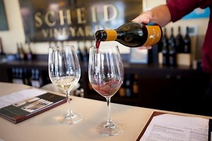12 lưu ý khi phục vụ rượu vang nhân viên nhà hàng cần biết