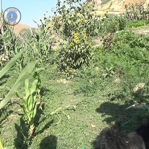 Colonos de 𝗧𝗶𝗷𝘂𝗮𝗻𝗮 𝗣𝗿𝗼𝗴𝗿𝗲𝘀𝗼, luchan en la defensa de las áreas verdes asignadas por el gobierno desde hace más de 15 años ante la 𝗮𝗺𝗲𝗻𝗮𝘇𝗮 𝗱𝗲 𝗶𝗻𝘃𝗮𝘀𝗼𝗿𝗲𝘀 que pretenden apoderarse de estos terrenos 👊💪 | Tijuana Decide